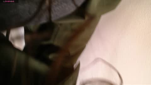 Melodi online show from June 2026 12:58:01 PM