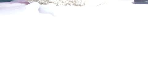 melody_mercy online show from March 2025 03:07:02 PM