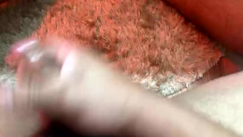 Toro loco online show from February 2026 07:16:01 AM