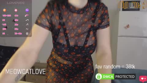 meowcatlove online show from January 2025 08:14:02 PM