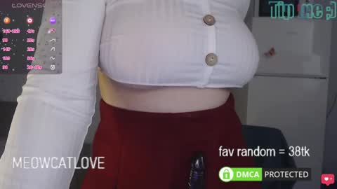 meowcatlove online show from March 2025 06:37:01 PM