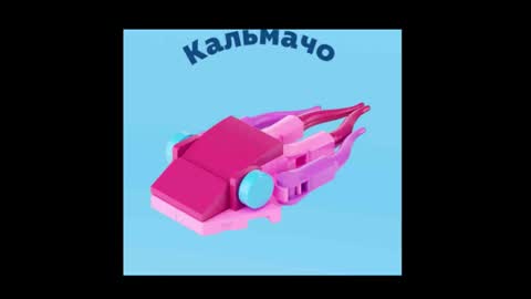 meowcr online show from February 2026 02:17:02 PM