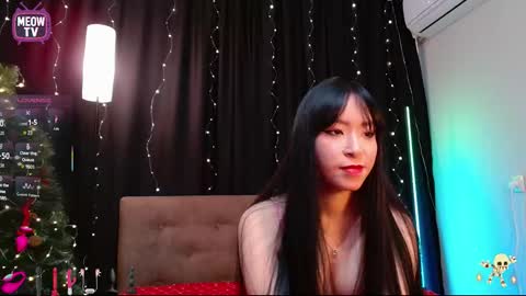 Snapshot of meowkami chatting on December 2025 04:28:02 AM meowkami online show from December 2025 04:28:02 AM