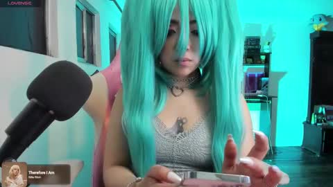 meowmelf online show from December 2025 01:00:01 AM