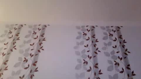 Snapshot of metallbuddy chatting on February 2026 10:57:02 PM ask me online show from February 2026 10:57:02 PM