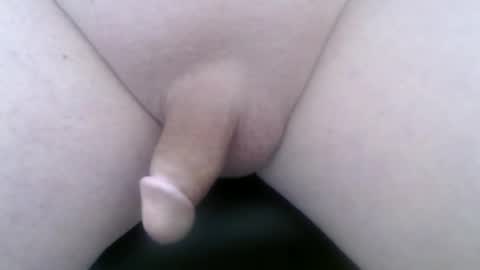 Wade online show from March 2026 07:56:01 AM