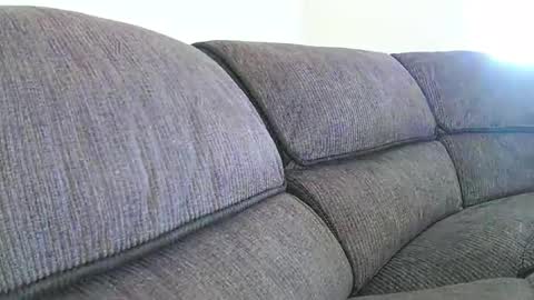 Snapshot of mexianthehawk chatting on January 2026 09:29:01 PM mexianthehawk online show from January 2026 09:29:01 PM