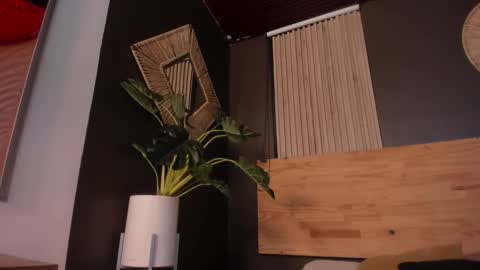 Snapshot of mia_jagger chatting on December 2025 11:48:01 AM Val online show from December 2025 11:48:01 AM