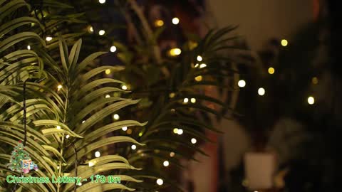 ask online show from December 2024 01:22:01 AM