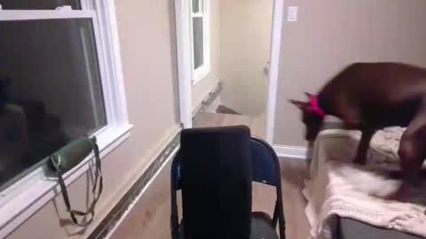 miamak online show from December 2025 02:07:02 AM