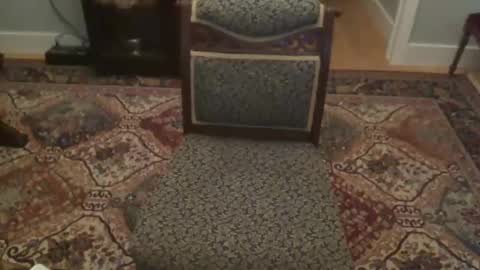 Snapshot of miamiwrestler chatting on December 2025 02:41:02 AM miamiwrestler online show from December 2025 02:41:02 AM