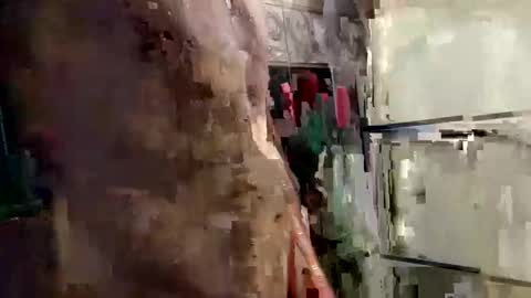 mickavis1975 online show from January 2025 06:05:01 PM