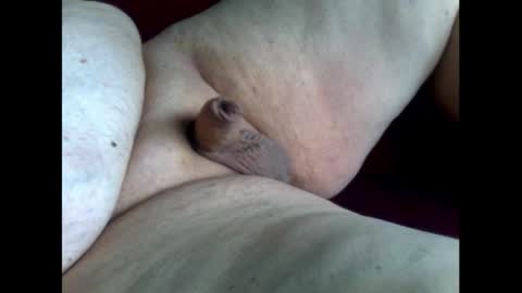 micropimmel online show from October 2025 01:31:02 PM