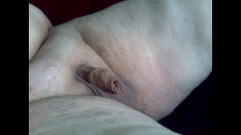 micropimmel online show from January 2026 01:02:01 PM