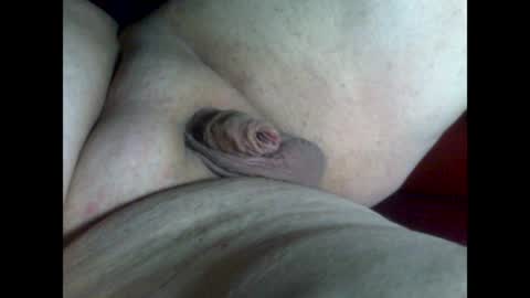 micropimmel online show from July 2026 09:43:01 PM