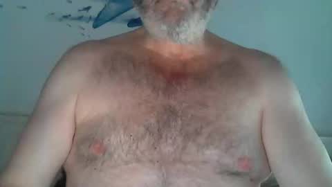 Snapshot of midhir chatting on June 2026 03:17:02 PM kike online show from June 2026 03:17:02 PM