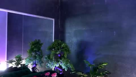 Alice online show from March 2025 11:07:01 AM