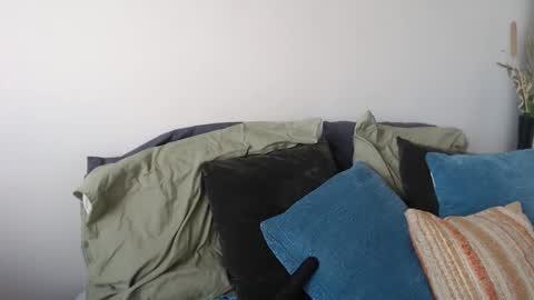 MidsummerNightsDream online show from January 2026 05:27:02 PM