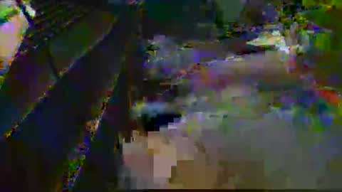 midtownhustler online show from March 2026 03:07:01 PM