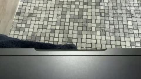 Snapshot of midwestassassin chatting on February 2026 03:28:02 PM midwestassassin online show from February 2026 03:28:02 PM