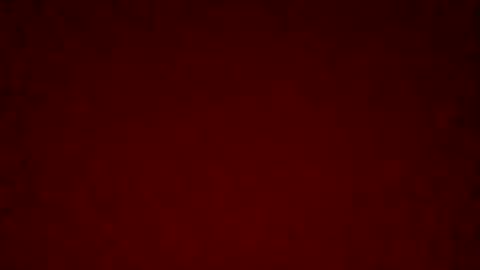 Miguel Andres online show from January 2025 11:13:02 AM