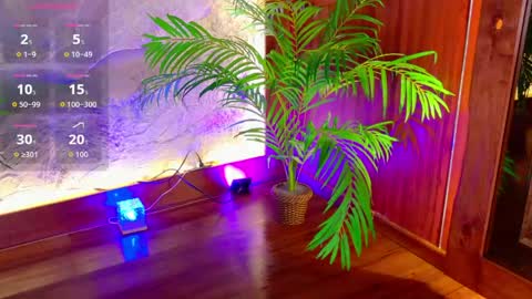 Snapshot of miiaa_cooper chatting on May 2026 04:01:02 PM CALL ME MIA online show from May 2026 04:01:02 PM