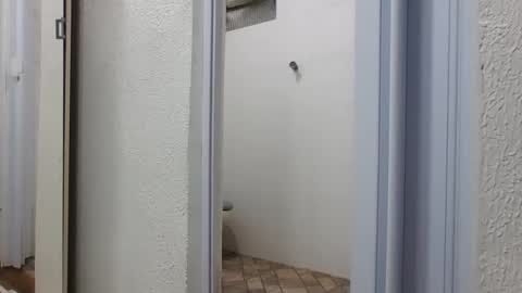 mike11343 online show from March 2026 05:53:01 PM