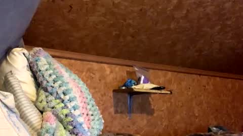 mikeblair5081 online show from December 2025 02:06:01 AM