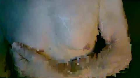 mikenyc55 online show from October 2025 03:10:02 PM