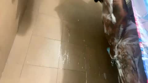 Snapshot of mikeyblunt chatting on February 2025 01:28:02 PM mikeyblunt online show from February 2025 01:28:02 PM