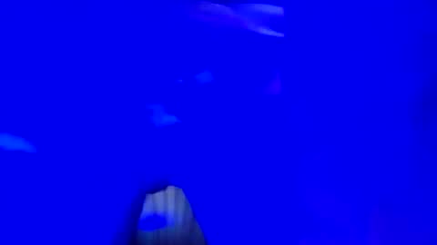 mikie19891 online show from November 2025 03:01:02 AM