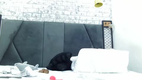 mila_adamss online show from January 2025 05:01:01 PM