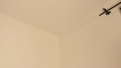     online show from February 2025 07:28:01 AM