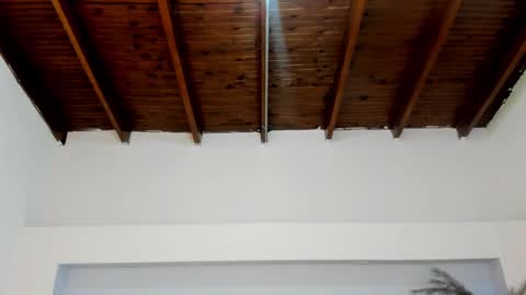 Mila Rose online show from January 2025 11:18:02 AM