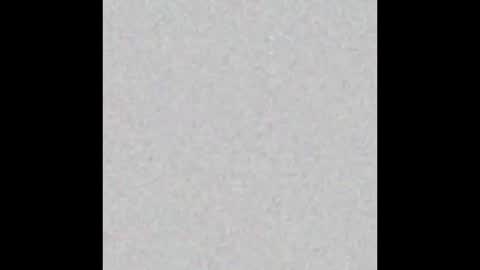 milehighcock5280 online show from October 2025 10:27:01 AM