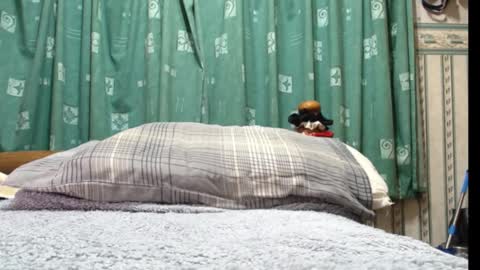 milfy72 online show from January 2025 10:41:01 PM