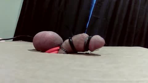 milk me dry online show from March 2026 05:39:02 PM