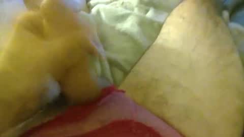 milkncookies8 online show from October 2025 05:59:02 AM