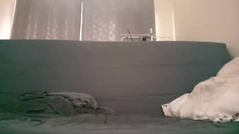 Ll online show from May 2026 11:16:02 AM