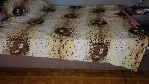 Snapshot of mirahardmanxx chatting on November 2025 12:37:02 PM Happy New Year online show from November 2025 12:37:02 PM