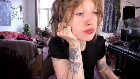 Snapshot of miranda2_0 chatting on January 2025 08:31:01 AM miranda2_0 online show from January 2025 08:31:01 AM