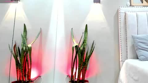 Snapshot of miranda_doll_ chatting on November 2025 12:04:01 PM online show from November 2025 12:04:01 PM