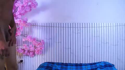 Mirandatroy online show from December 2025 07:53:01 PM