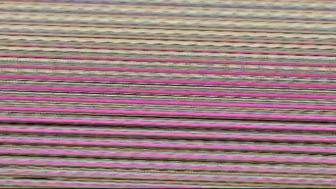 miroslavva_ online show from July 2026 12:29:01 PM