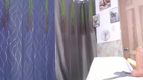 IM SUGAR online show from February 2026 07:51:01 AM