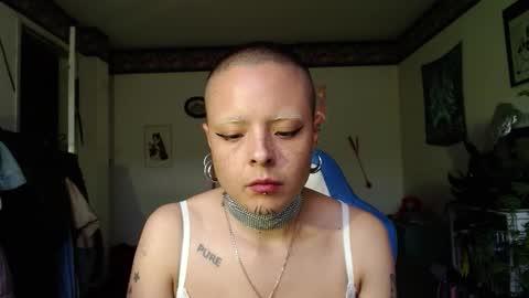 Snapshot of missanarky chatting on October 2025 09:48:02 PM Anarkitten online show from October 2025 09:48:02 PM