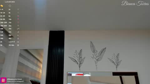 Bianca Torres online show from February 2025 11:20:01 PM