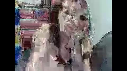 Snapshot of misschantal24 chatting on November 2025 03:36:01 PM Chantal24 online show from November 2025 03:36:01 PM