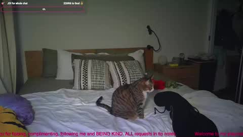 missemmbeex online show from March 2026 08:59:02 PM