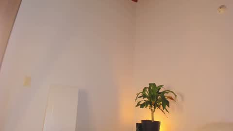 Snapshot of misspaulag chatting on January 2025 04:03:01 AM misspaulag online show from January 2025 04:03:01 AM